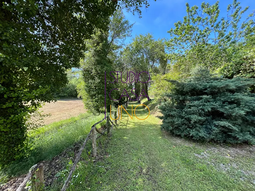 Immagine 8 di Rustico / casale in vendita  in via di moncioni a Montevarchi