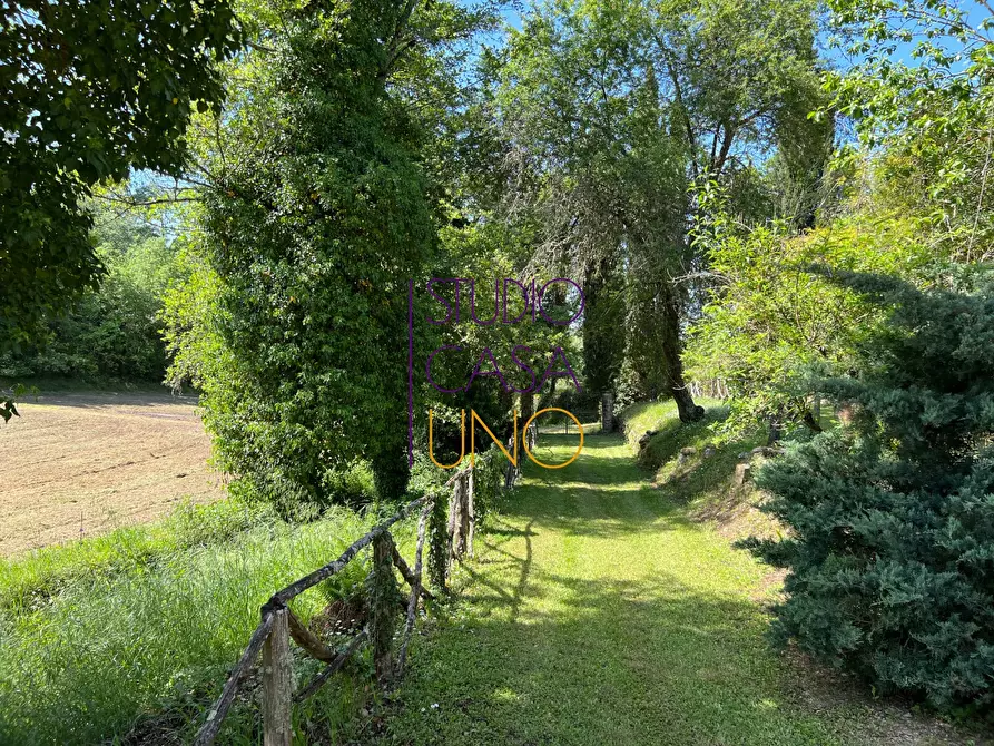 Immagine 9 di Rustico / casale in vendita  in via di moncioni a Montevarchi