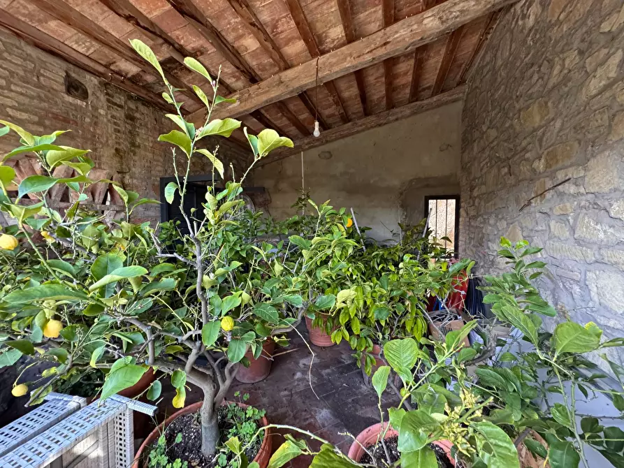 Immagine 4 di Rustico / casale in vendita  in via della chiantigiana 300 a Montevarchi