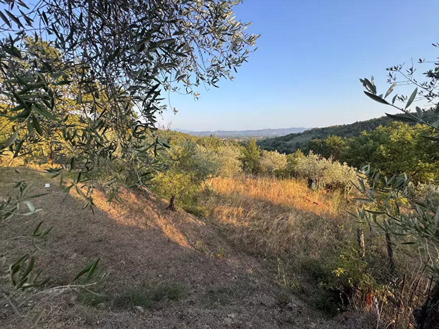Immagine 19 di Villa in vendita  in strada setteoponti a Loro Ciuffenna