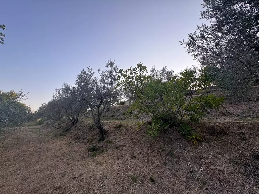 Immagine 20 di Villa in vendita  in strada setteoponti a Loro Ciuffenna