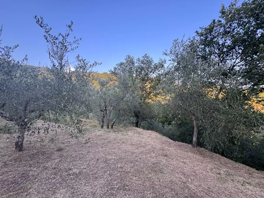 Immagine 22 di Villa in vendita  in strada setteoponti a Loro Ciuffenna