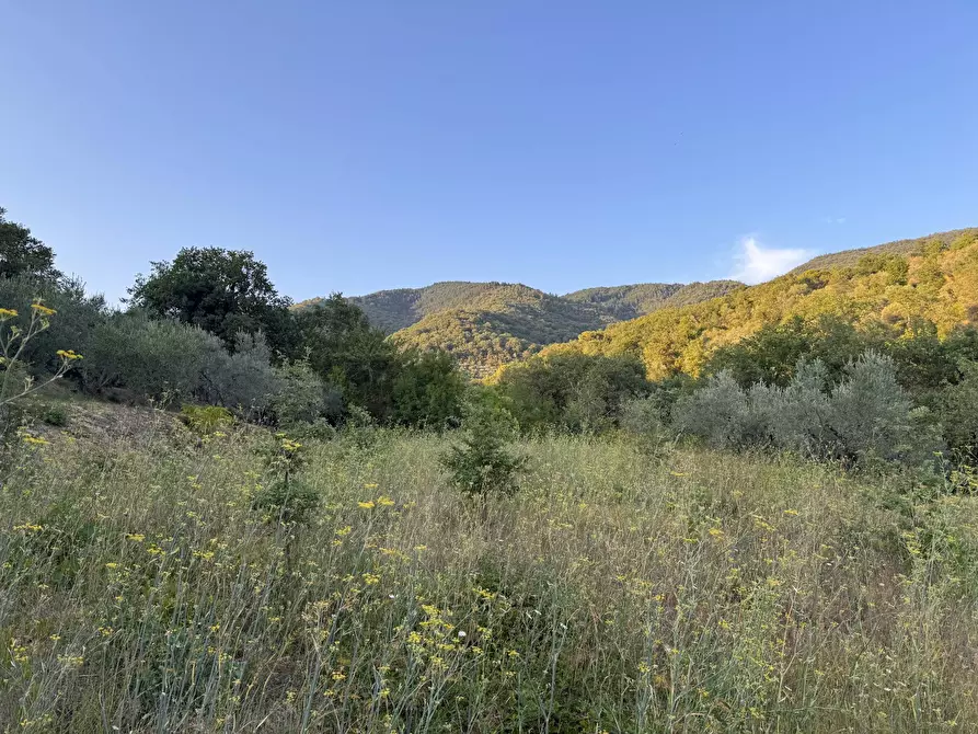 Immagine 24 di Villa in vendita  in strada setteoponti a Loro Ciuffenna