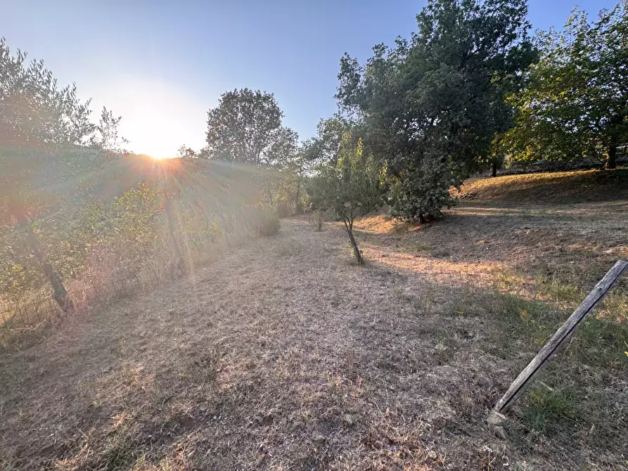 Immagine 28 di Villa in vendita  in strada setteoponti a Loro Ciuffenna