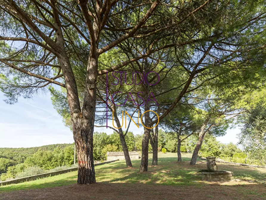 Immagine 6 di Rustico / casale in vendita  in via chiantigiana 78 a Gaiole In Chianti