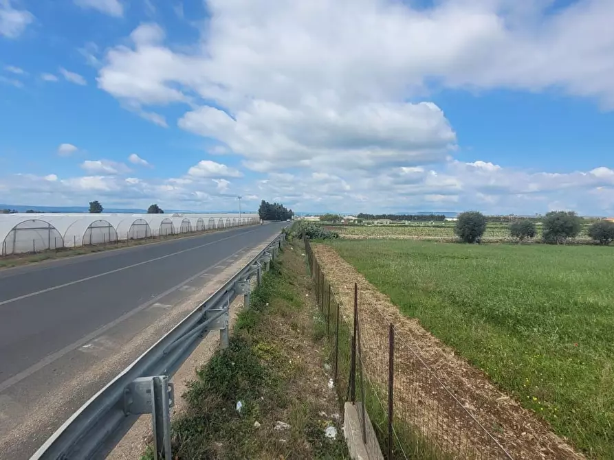 Immagine 6 di Terreno agricolo in vendita  in Strada Badia a Siracusa