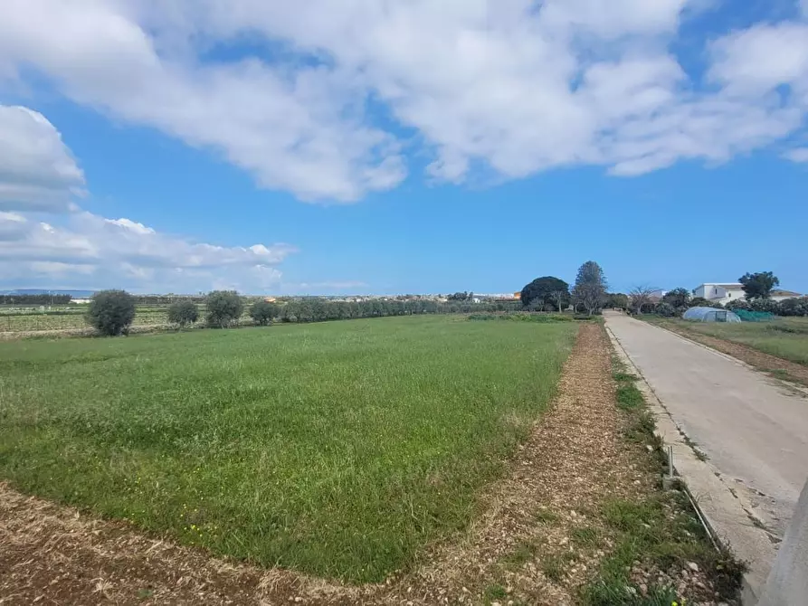 Immagine 7 di Terreno agricolo in vendita  in Strada Badia a Siracusa
