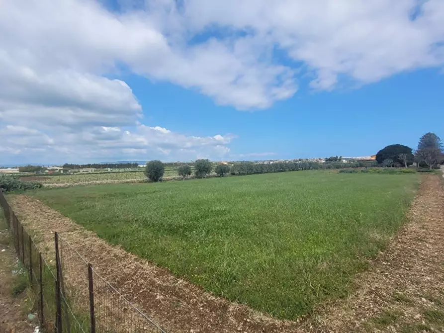 Immagine 9 di Terreno agricolo in vendita  in Strada Badia a Siracusa