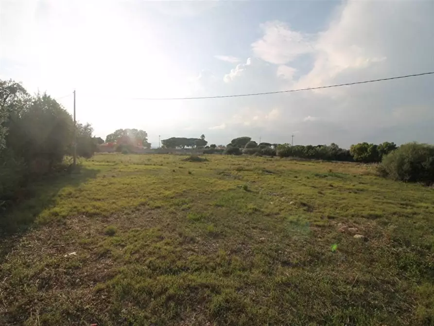 Immagine 7 di Terreno residenziale in vendita  in Contrada Isola snc a Siracusa