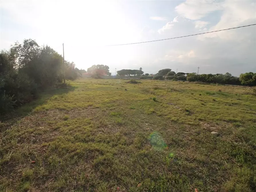 Immagine 13 di Terreno residenziale in vendita  in Contrada Isola snc a Siracusa
