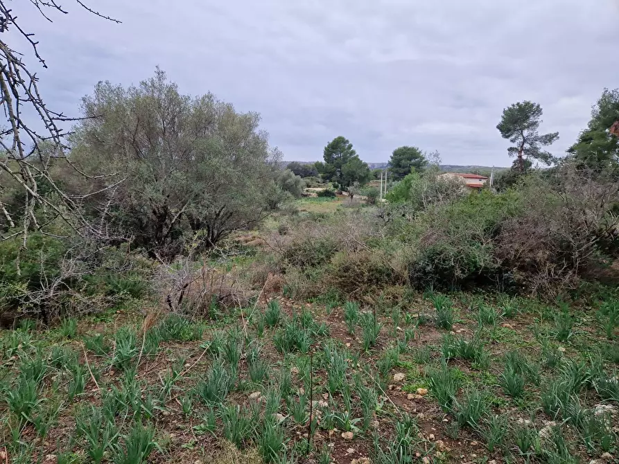 Immagine 3 di Rustico / casale in vendita  in Cugni Stallaini a Noto