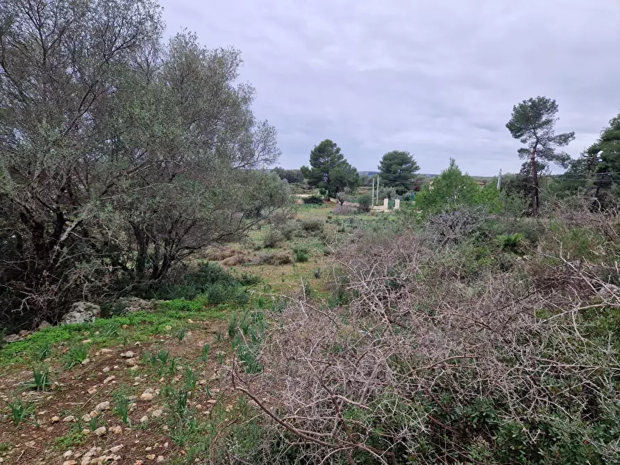 Immagine 6 di Rustico / casale in vendita  in Cugni Stallaini a Noto