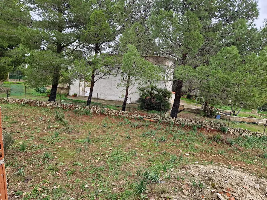 Immagine 23 di Rustico / casale in vendita  in Cugni Stallaini a Noto