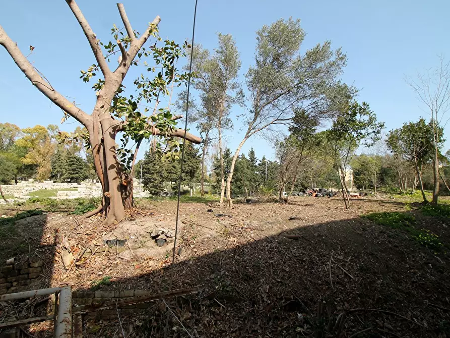 Immagine 4 di Appartamento in vendita  in Via Salso a Siracusa