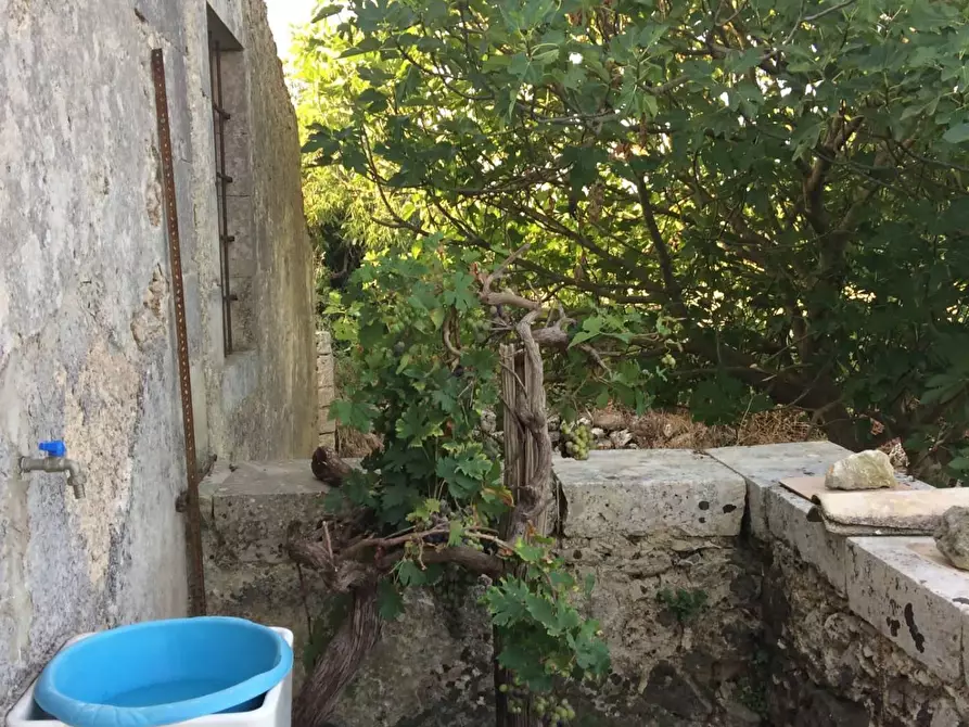 Immagine 23 di Villa in vendita  in Contrada Mezzo Gregorio a Noto