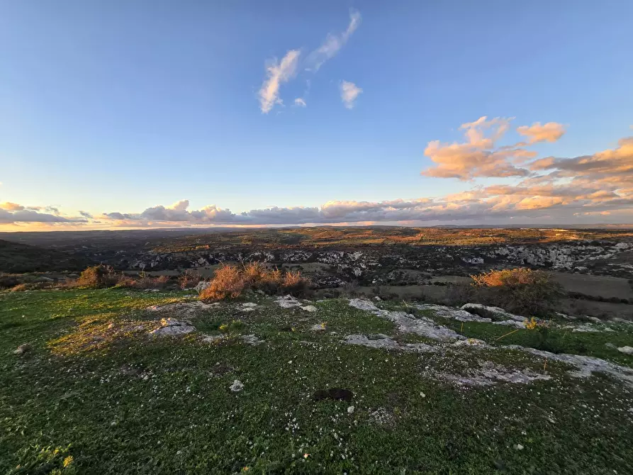 Immagine 3 di Rustico / casale in vendita  in Contrada Porcari a Carlentini