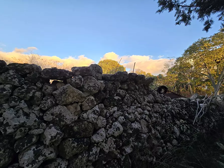 Immagine 10 di Rustico / casale in vendita  in Contrada Porcari a Carlentini