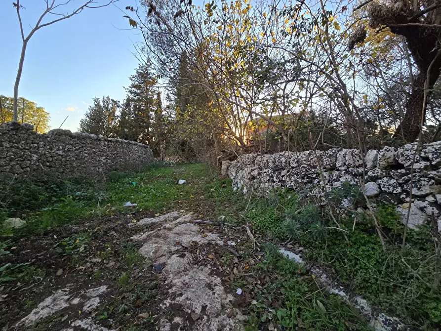 Immagine 12 di Rustico / casale in vendita  in Contrada Porcari a Carlentini