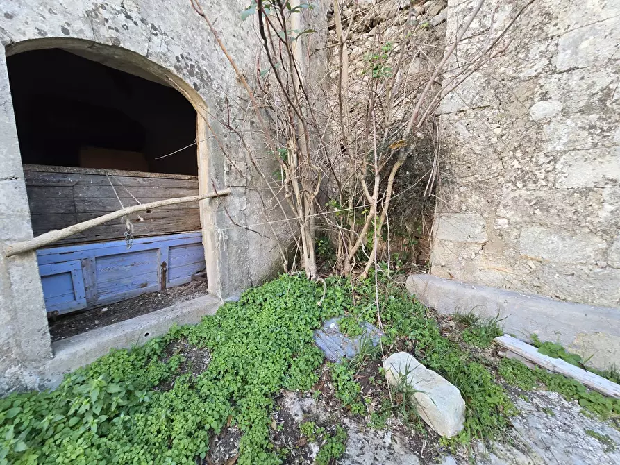 Immagine 24 di Rustico / casale in vendita  in Contrada Porcari a Carlentini