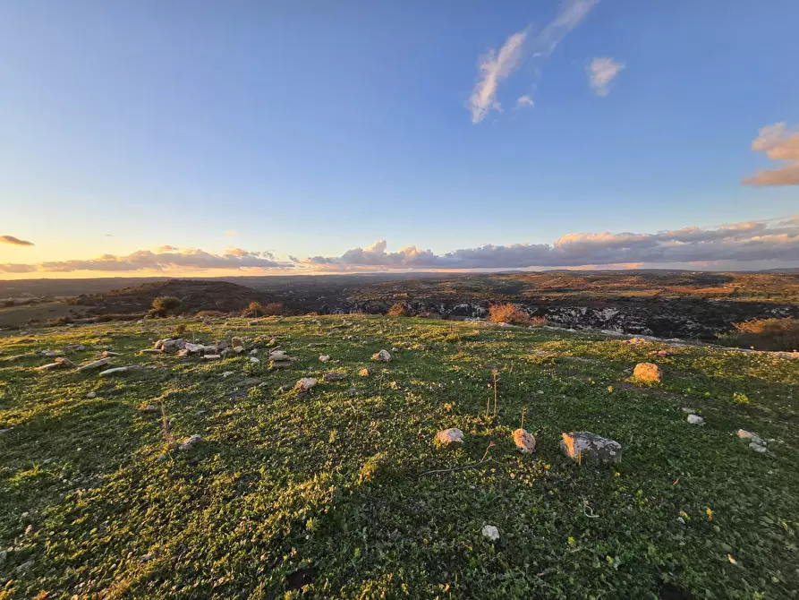Immagine 39 di Rustico / casale in vendita  in Contrada Porcari a Carlentini