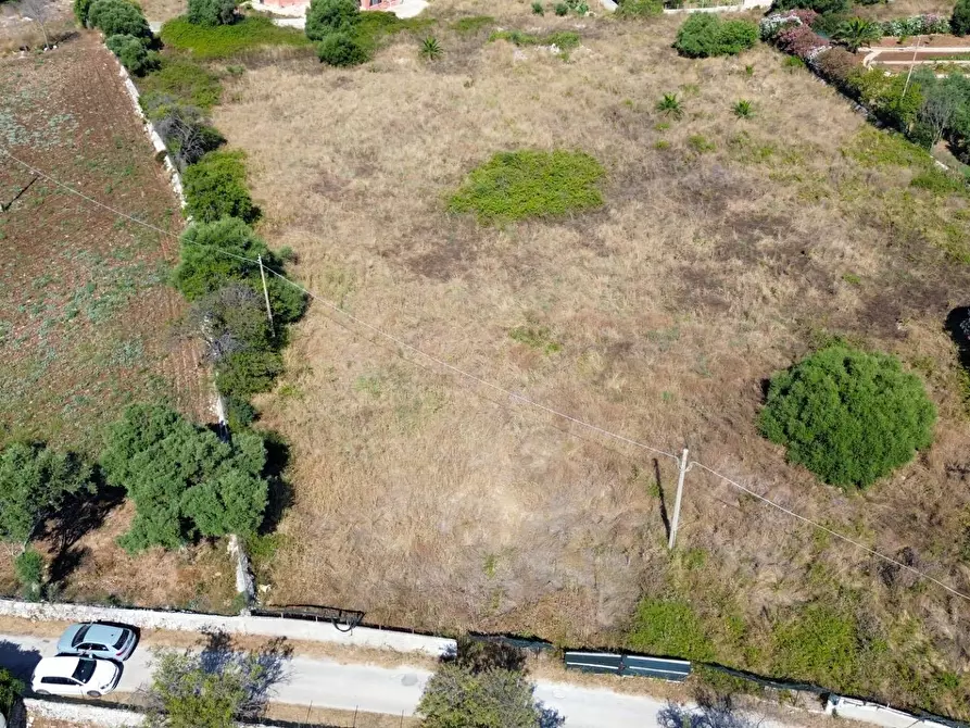 Immagine 18 di Terreno residenziale in vendita  in Contrada Isola snc a Siracusa