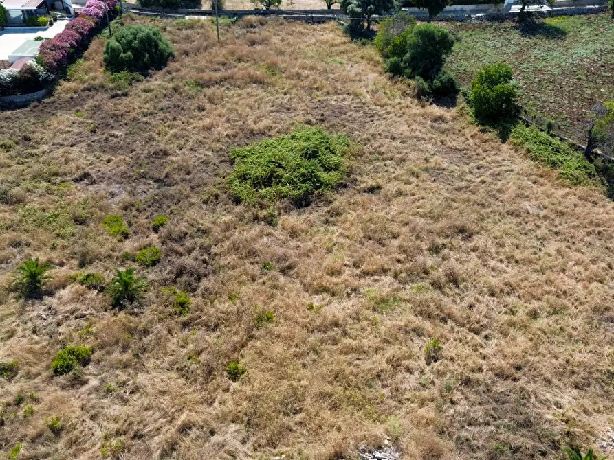 Immagine 21 di Terreno residenziale in vendita  in Contrada Isola snc a Siracusa