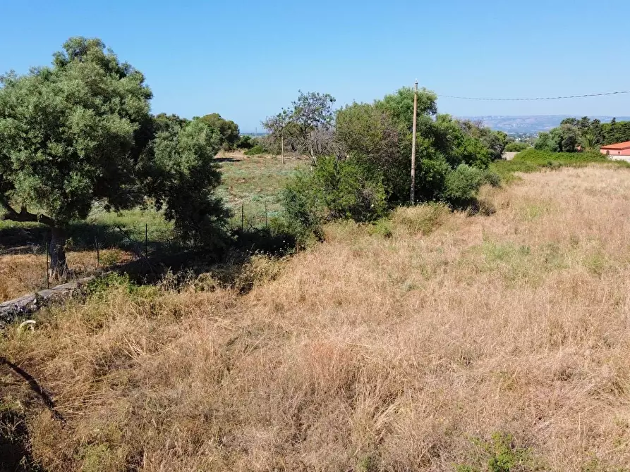 Immagine 24 di Terreno residenziale in vendita  in Contrada Isola snc a Siracusa