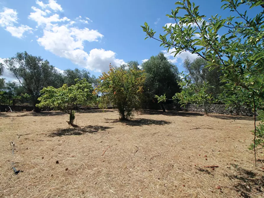 Immagine 18 di Villa in vendita  in C.da San Marco a Noto