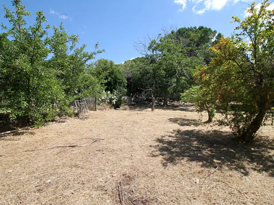 Immagine 19 di Villa in vendita  in C.da San Marco a Noto