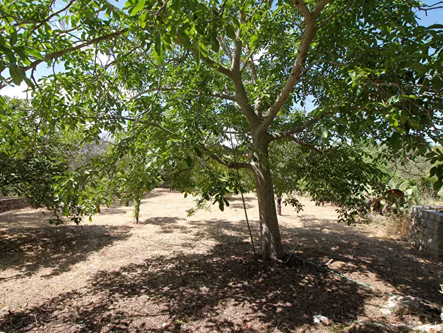 Immagine 20 di Villa in vendita  in C.da San Marco a Noto