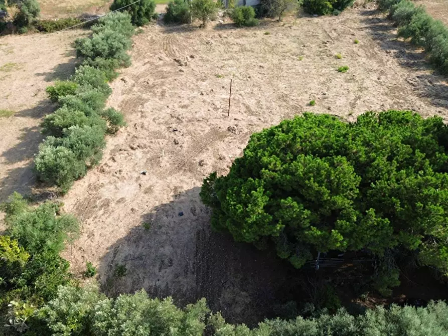 Immagine 7 di Villa in vendita  in Via Isola a Siracusa