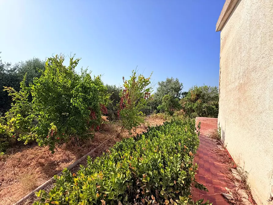 Immagine 32 di Villa in vendita  in Via Isola a Siracusa