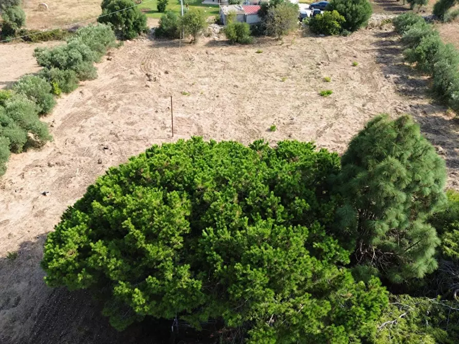 Immagine 3 di Terreno residenziale in vendita  in Via Isola a Siracusa