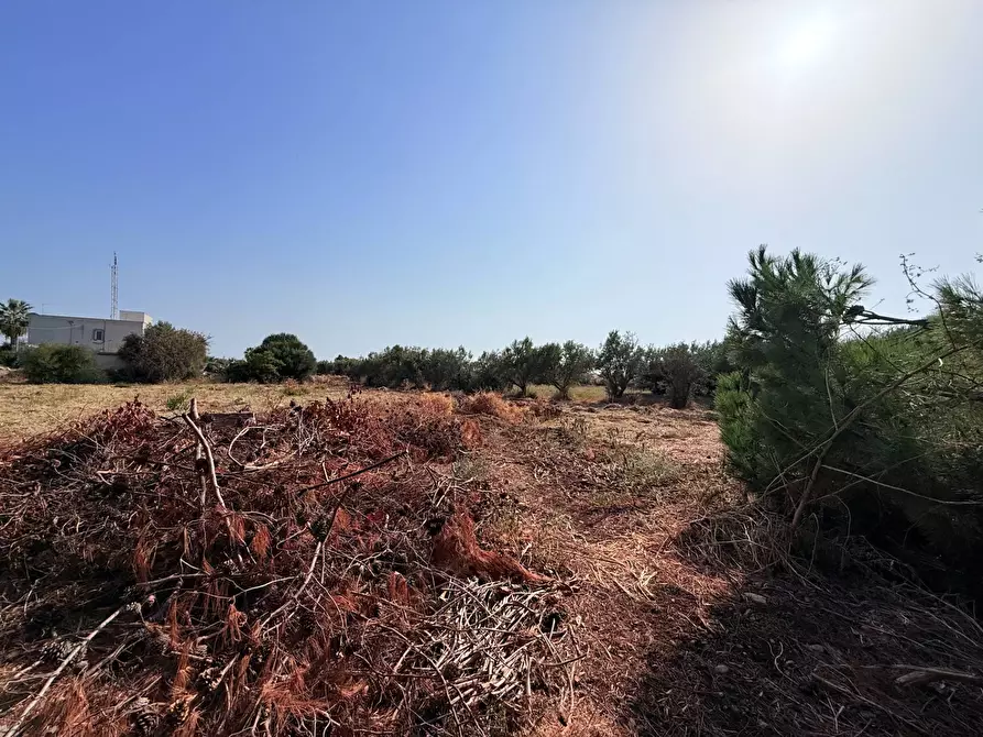 Immagine 7 di Terreno residenziale in vendita  in Via Isola a Siracusa