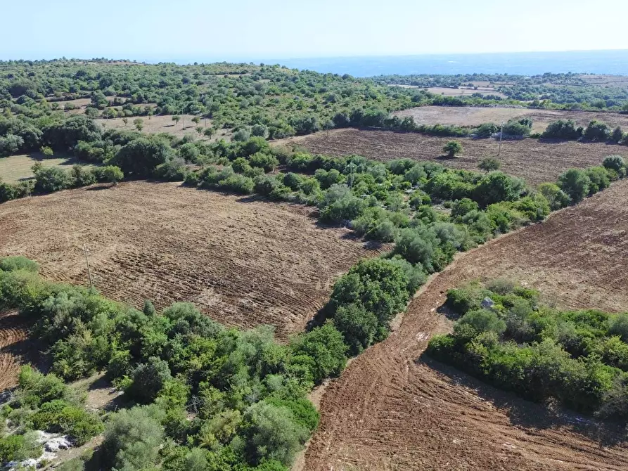 Immagine 26 di Villa in vendita  in Contrada Mezzo Gregorio a Noto