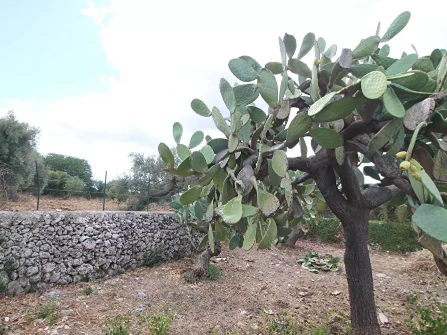 Immagine 37 di Villa in vendita  in Contrada Bagni snc a Buccheri