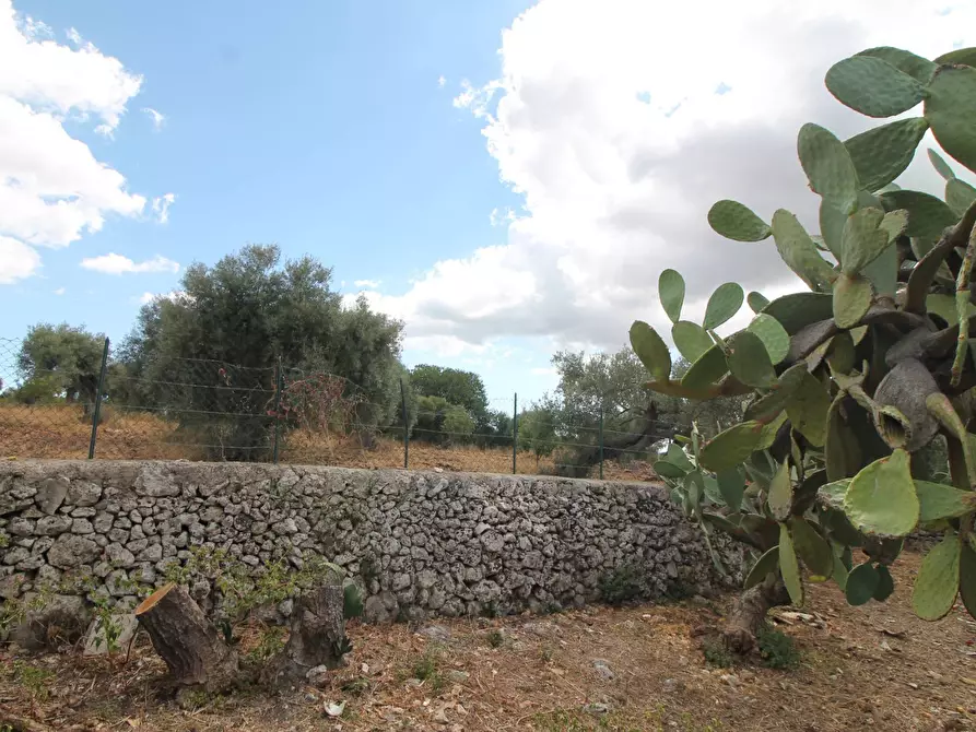 Immagine 38 di Villa in vendita  in Contrada Bagni snc a Buccheri