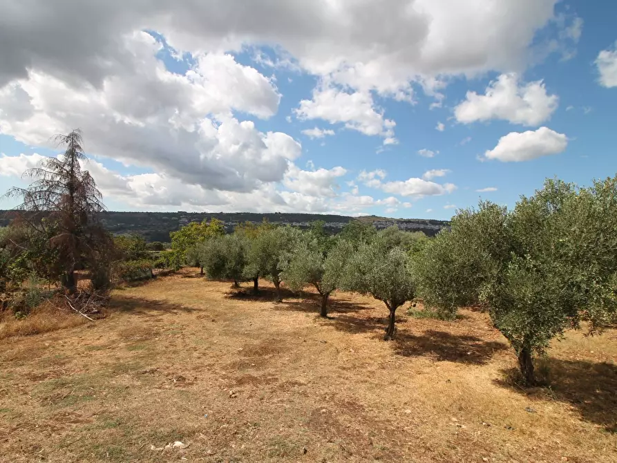 Immagine 42 di Villa in vendita  in Contrada Bagni snc a Buccheri