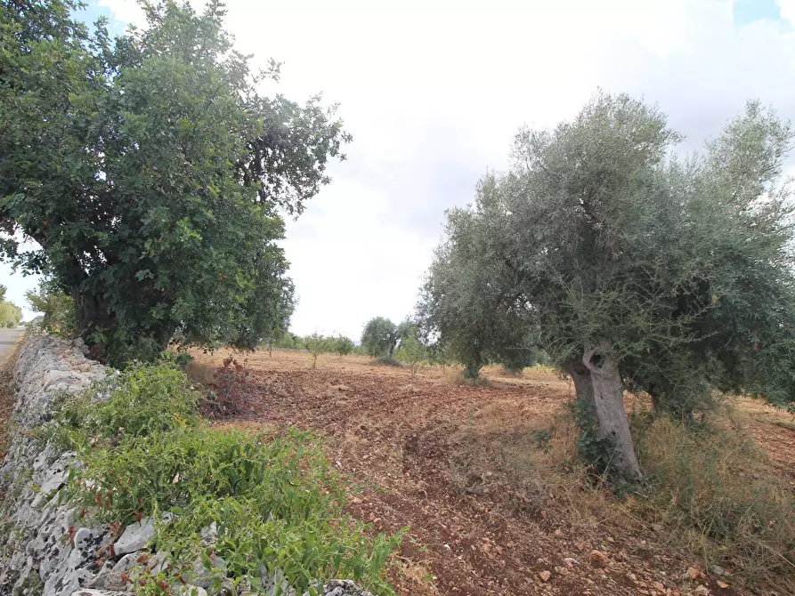 Immagine 44 di Villa in vendita  in Contrada Bagni snc a Buccheri