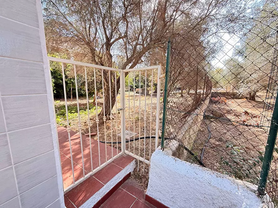 Immagine 19 di Villa in vendita  in STRADA PER OGNINA a Siracusa