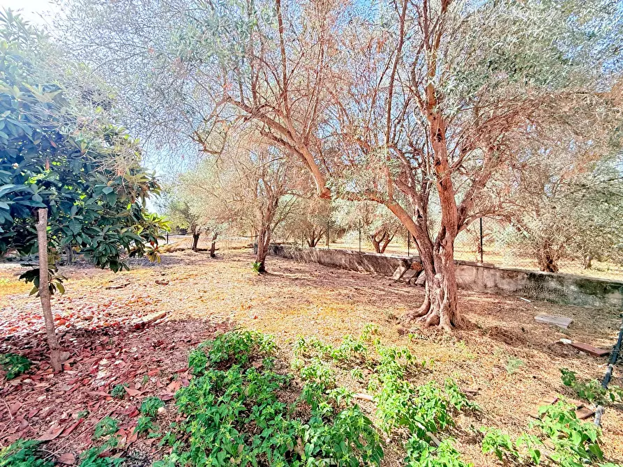 Immagine 22 di Villa in vendita  in STRADA PER OGNINA a Siracusa