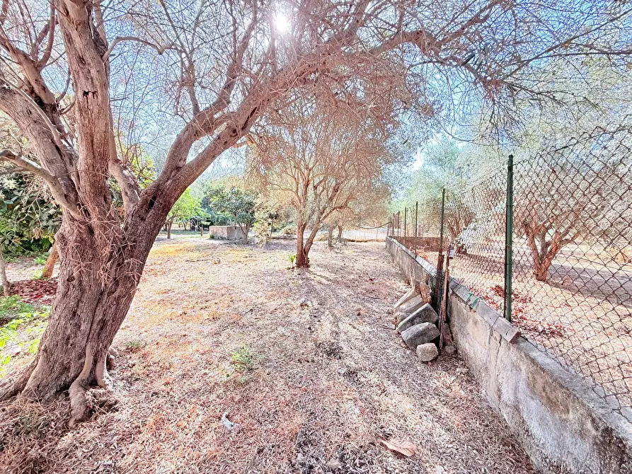 Immagine 23 di Villa in vendita  in STRADA PER OGNINA a Siracusa
