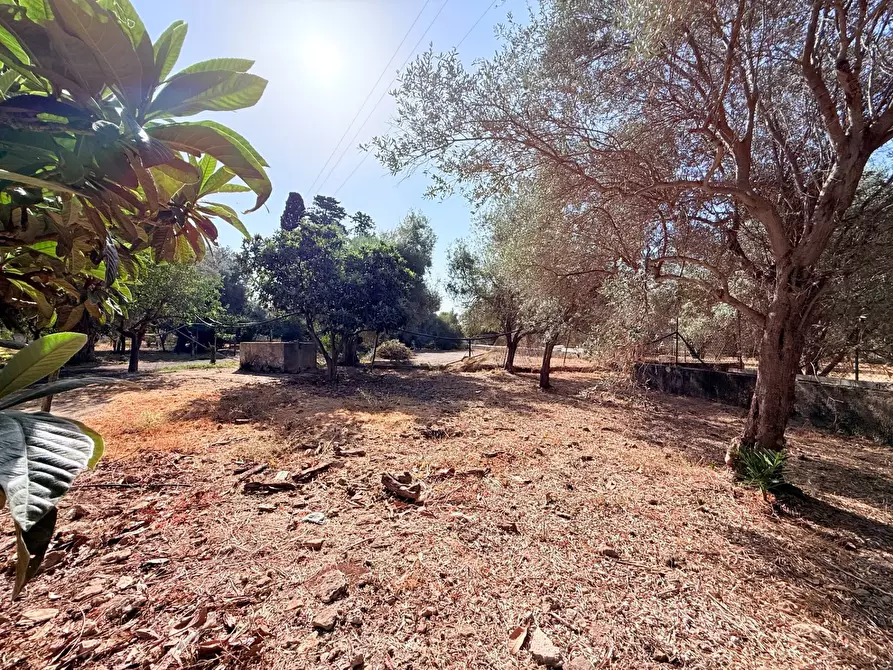 Immagine 24 di Villa in vendita  in STRADA PER OGNINA a Siracusa