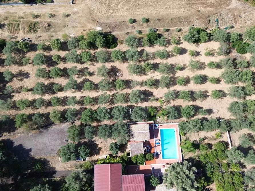 Immagine 2 di Terreno agricolo in vendita  in STRADA PER OGNINA a Siracusa