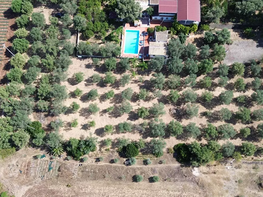Immagine 3 di Terreno agricolo in vendita  in STRADA PER OGNINA a Siracusa