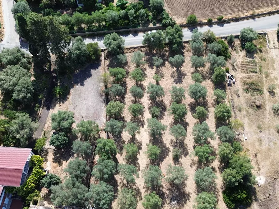 Immagine 4 di Terreno agricolo in vendita  in STRADA PER OGNINA a Siracusa
