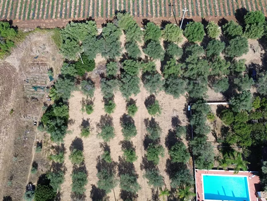 Immagine 5 di Terreno agricolo in vendita  in STRADA PER OGNINA a Siracusa