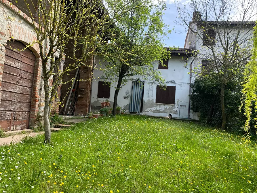 Immagine 1 di Rustico / casale in vendita  a Casalnoceto