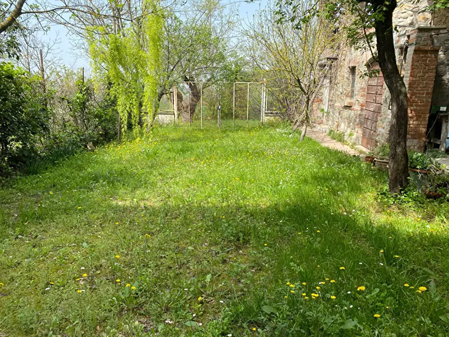 Immagine 2 di Rustico / casale in vendita  a Casalnoceto