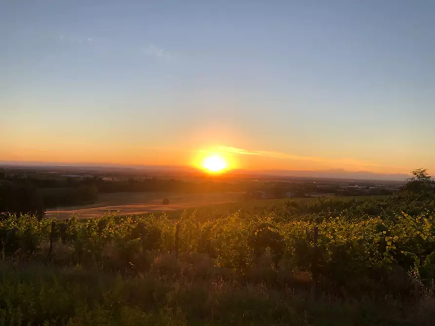 Immagine 13 di Rustico / casale in vendita  a Casalnoceto